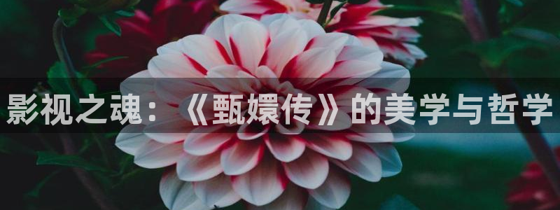 97网站视频在线观看