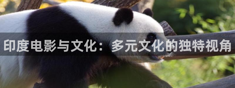 97 视频在线